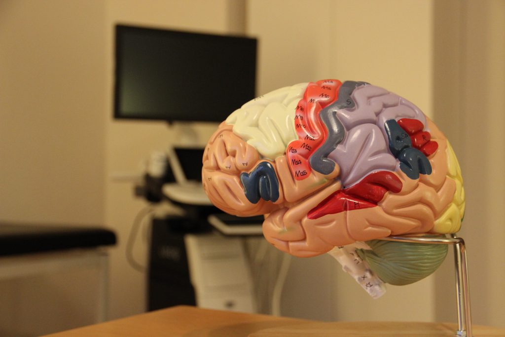 Praxis für Neurologie mit Gehirn und Ultraschallgerät